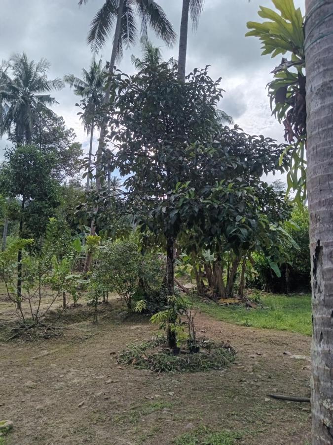 Chom Suan Farmstay Ko Kut Extérieur photo